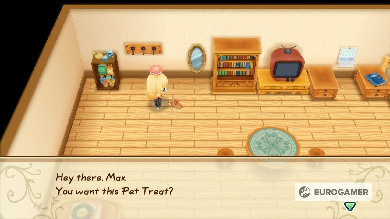 Story of Seasons Pets: Where to buy pets, Friendship Level and fetch in